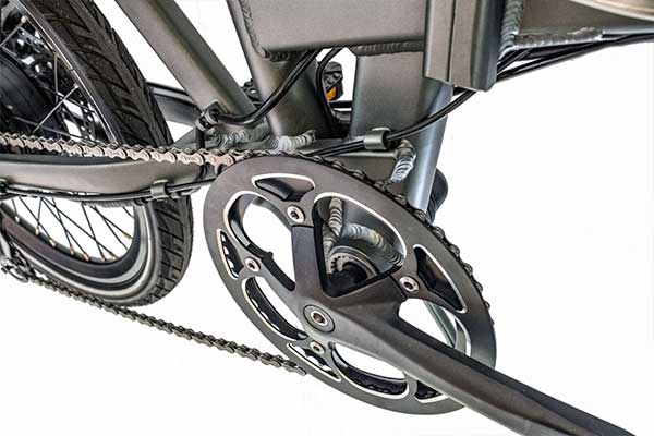 Chain Guard